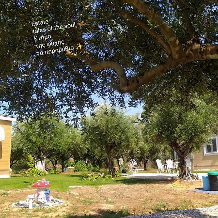 Bungalows With Private Pools "Tales Of The Soul - Της Ψυχής Τα Παραμύθια" Anemochori المظهر الخارجي الصورة