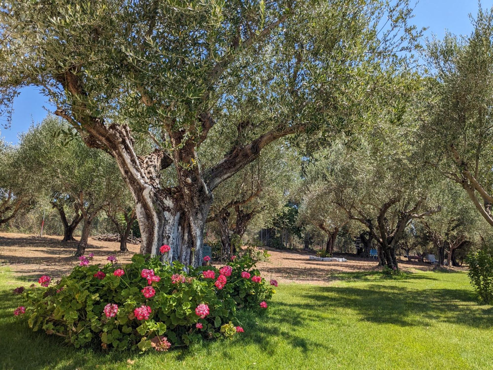 Bungalows With Private Pools "Tales Of The Soul - Της Ψυχής Τα Παραμύθια" Anemochori المظهر الخارجي الصورة